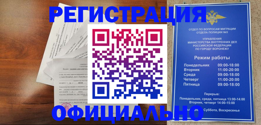 прописка поиск в Клине